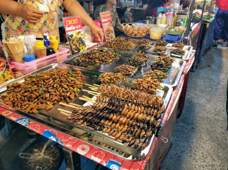 Insektenspieß auf Nachtmarkt Koh Samui Thailand