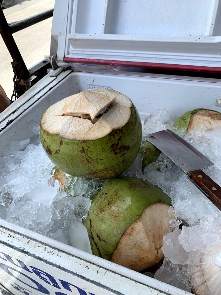 Kokosnuss auf Koh Samui Thailand