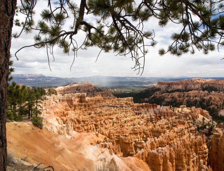 Bryce Canyon Nationalpark USA