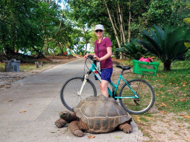 Schildkröte auf La Digue Seychellen