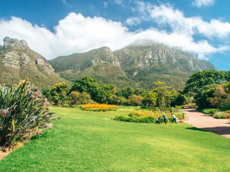 Kirstenbosch Botanischer Garten in Kapstadt Südafrika