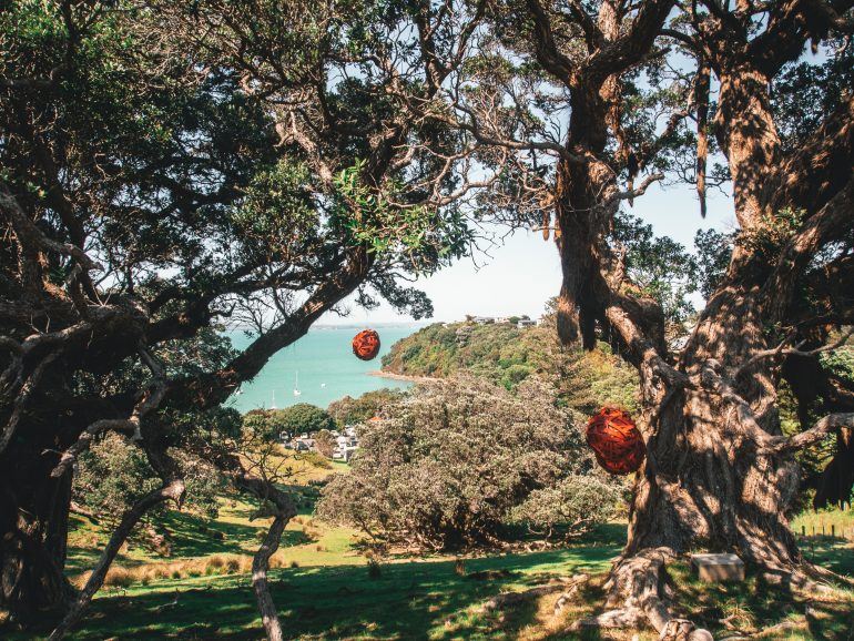 Kennedy Point Winery Waiheke Island Neuseeland