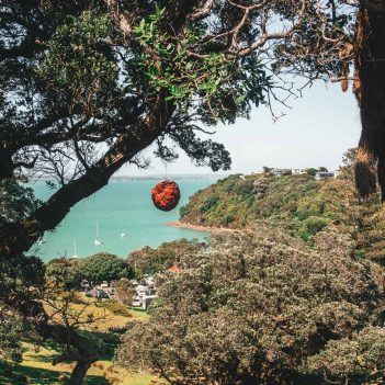 Waiheke Island Neuseeland