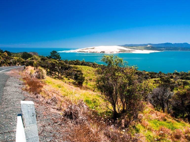 Pakia Hill Lookout Neuseeland