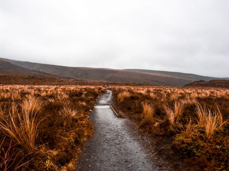 Tongariro Nationalpark Neuseeland