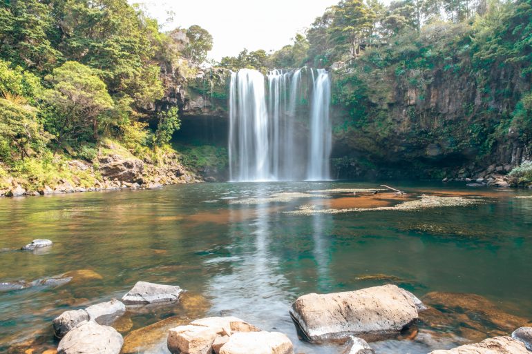 Rainbow Falls Northland Neuseeland