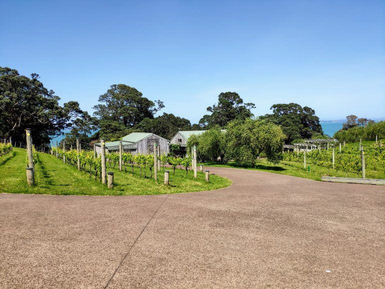 Kennedy Point Winery Waiheke Island Neuseeland