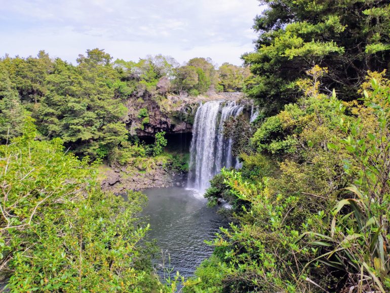 Rainbow Falls Northland Neuseeland