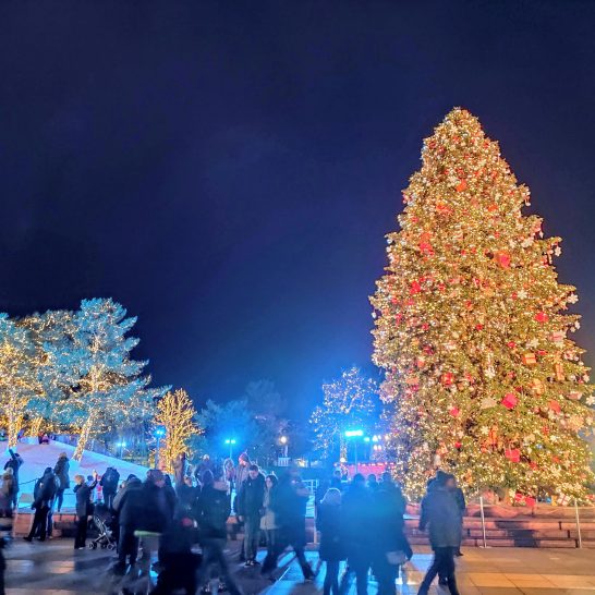 Wintermarkt in der Autostadt Wolfsburg