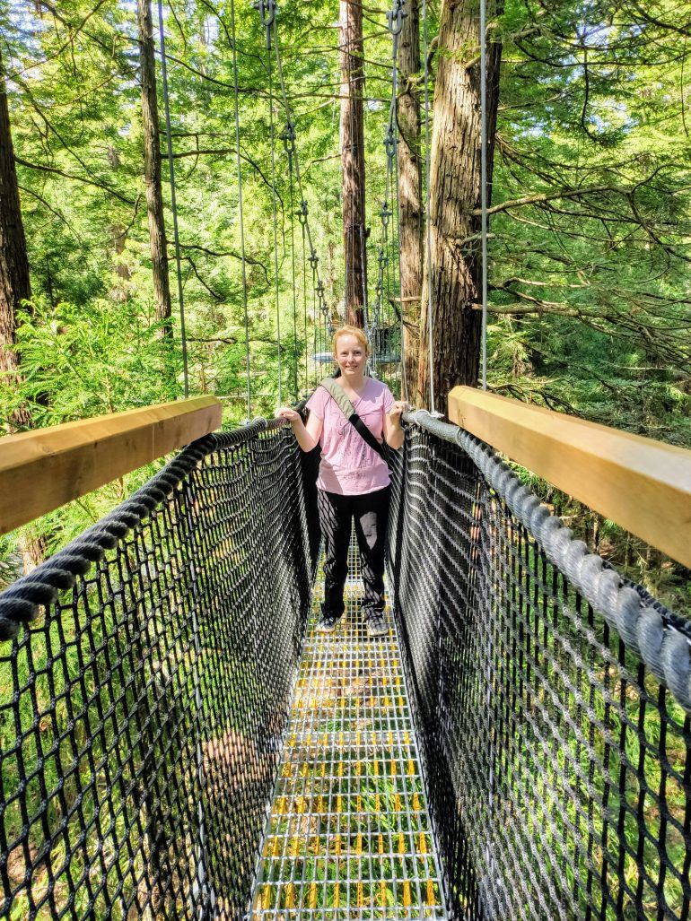 Redwoods Treewalk in Rotorua Neuseeland