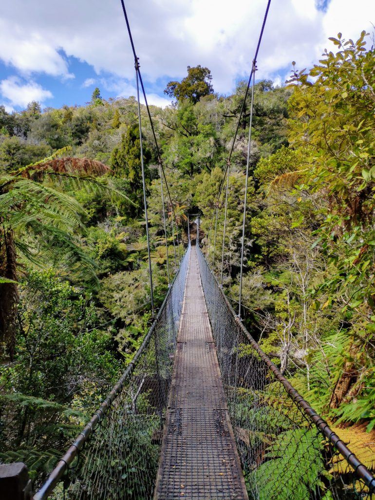 Falls River Suspension Bridge Abel Tasman Neuseeland