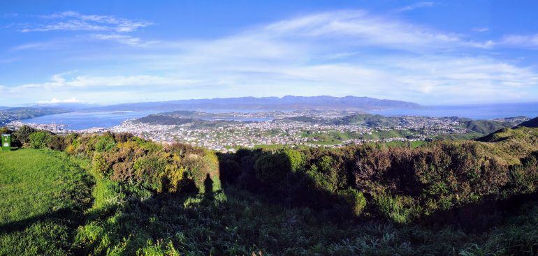 Panorama Wellington Neuseeland