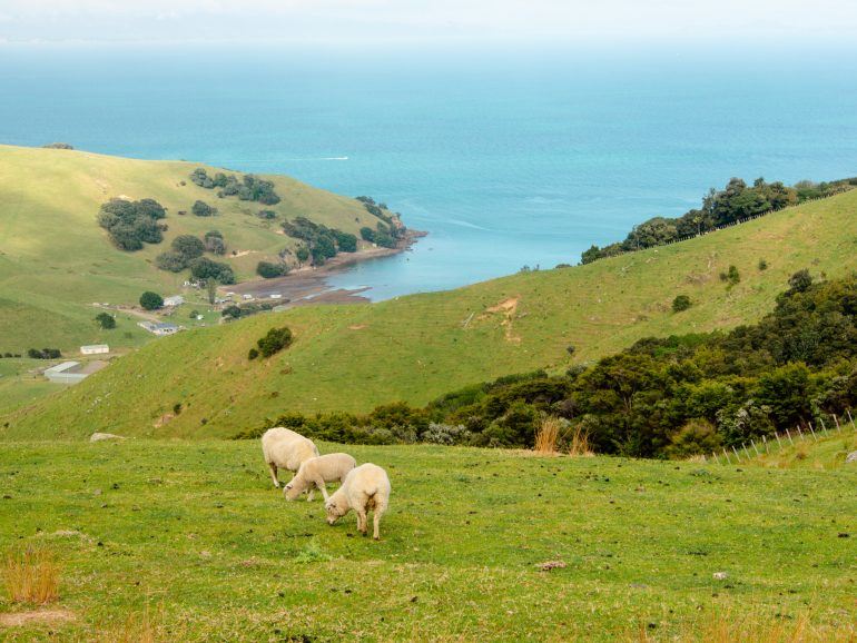 Aussicht Coromandel Peninsula Neuseeland