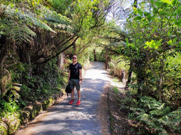 Weg zur Cathedral Cove Neuseeland