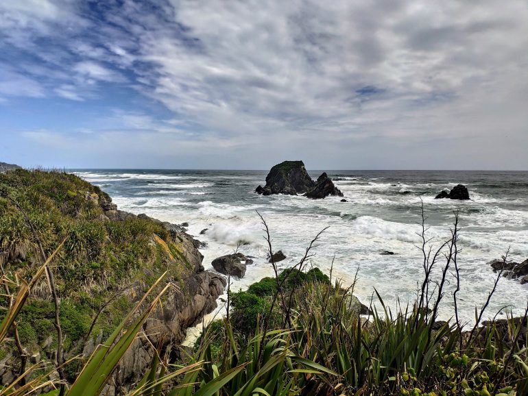 Seal Colony Tauranga Neuseeland