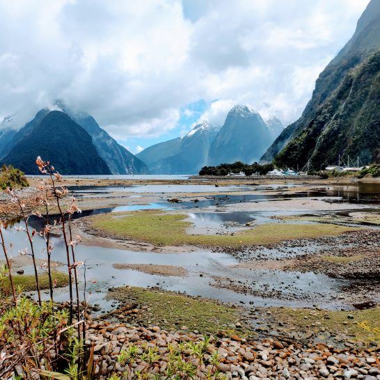 Milford Sound Neuseeland