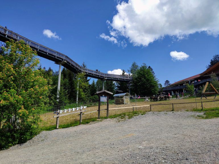 Baumwipfelweg Sankt Englmar Deutschland