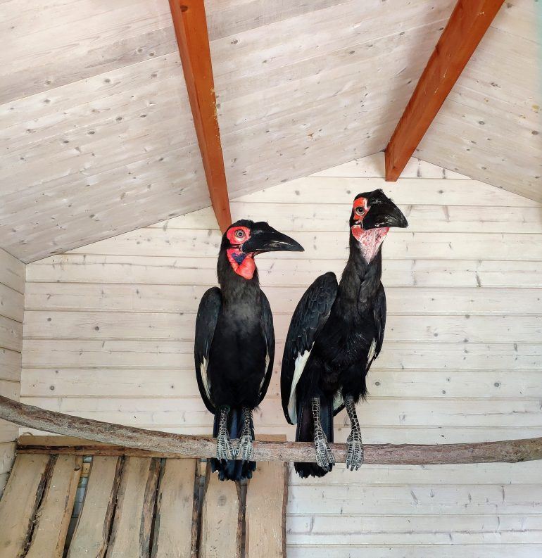 Westküstenpark Deutschland