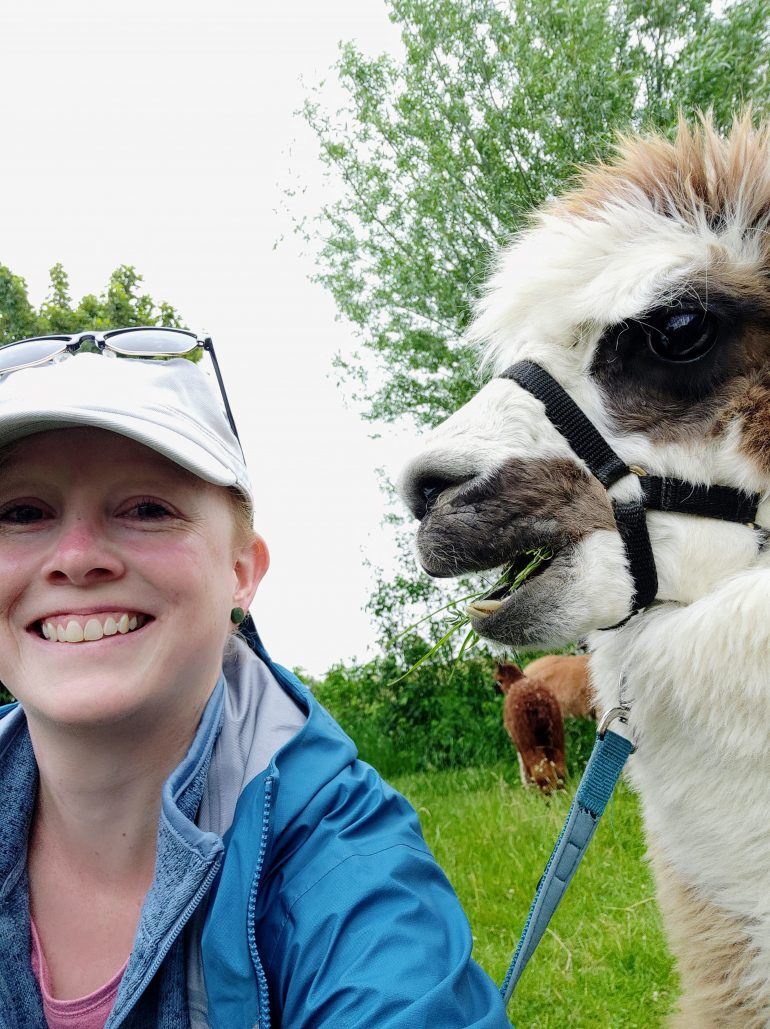 Alpaka Selfie Nordstrand