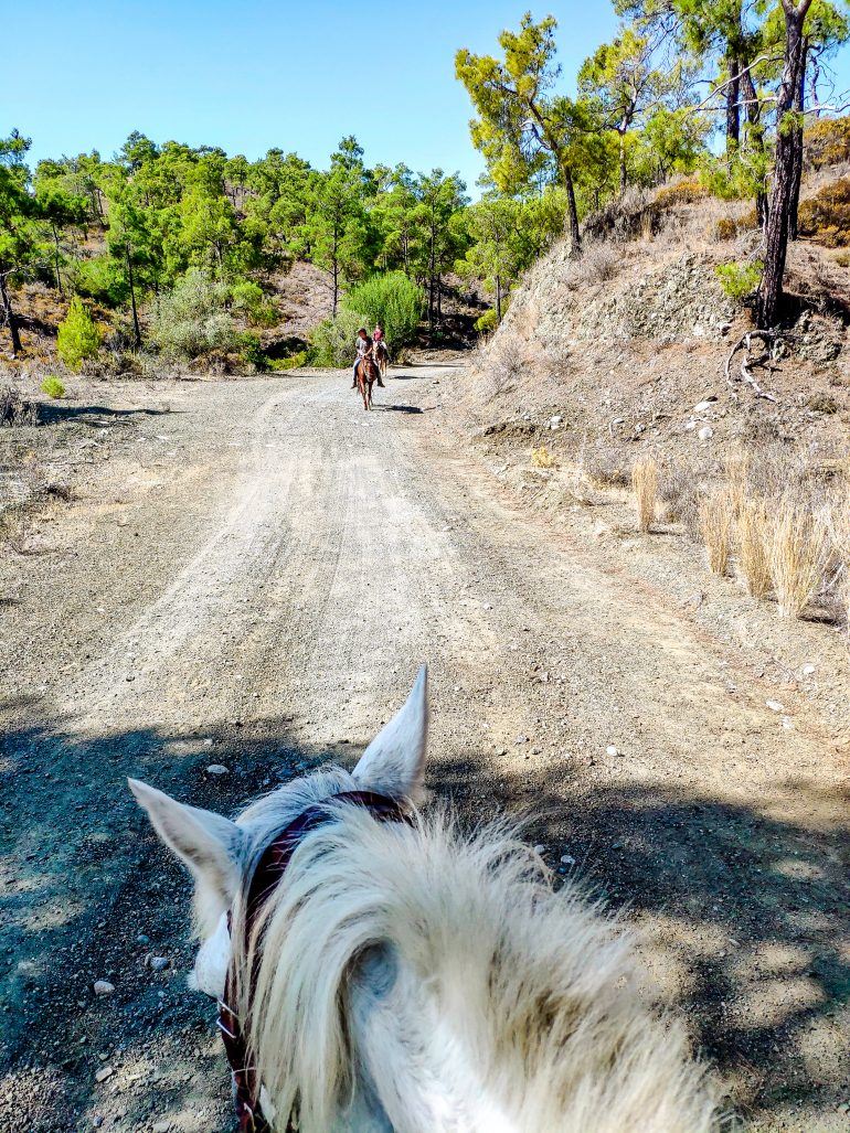 Ausritt Elpida Ranch Rhodos