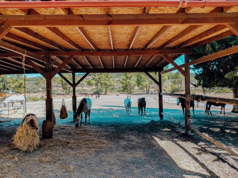 Elpida Ranch Rhodos