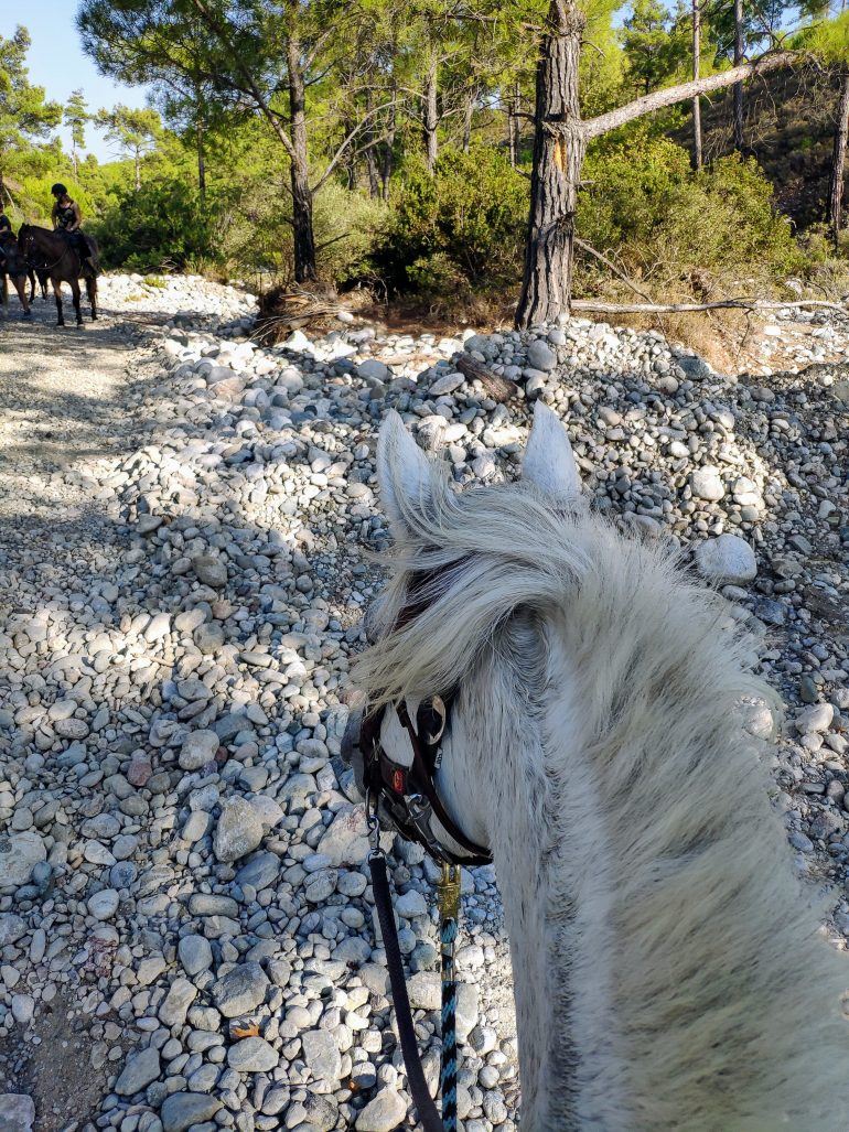 Ausritt Elpida Ranch Rhodos