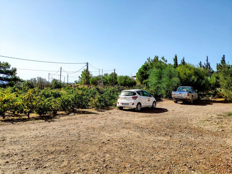 Olive Tree Farm Rhodos