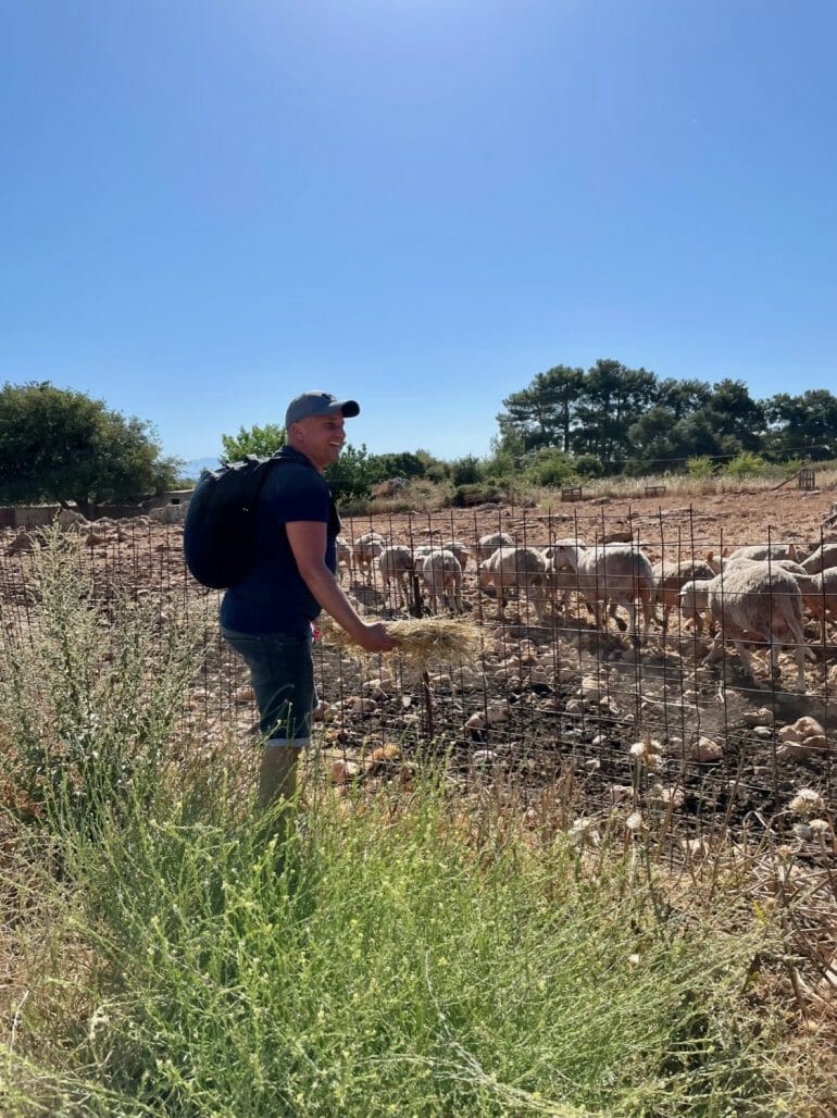 Fütterung der Tiere Bauernhof Kreta