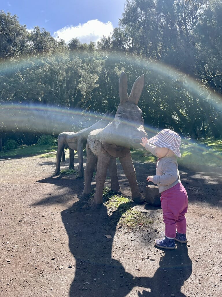 Spielplatz im Garajonay Nationalpark