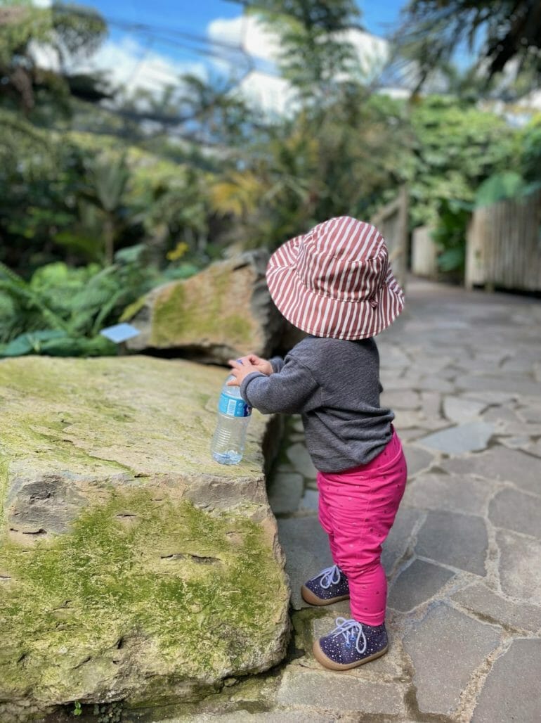 Botanischer Garten Talmetum Teneriffa