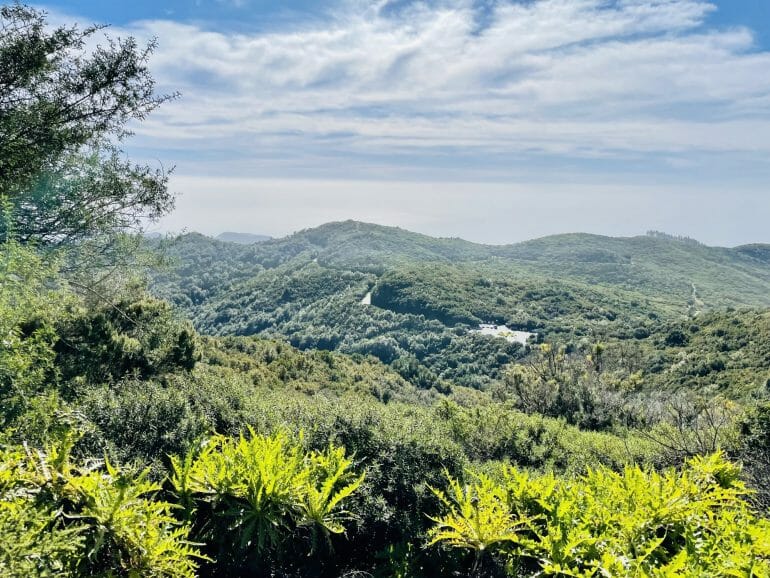 Ausblick Garajonay Nationalpark La Gomera