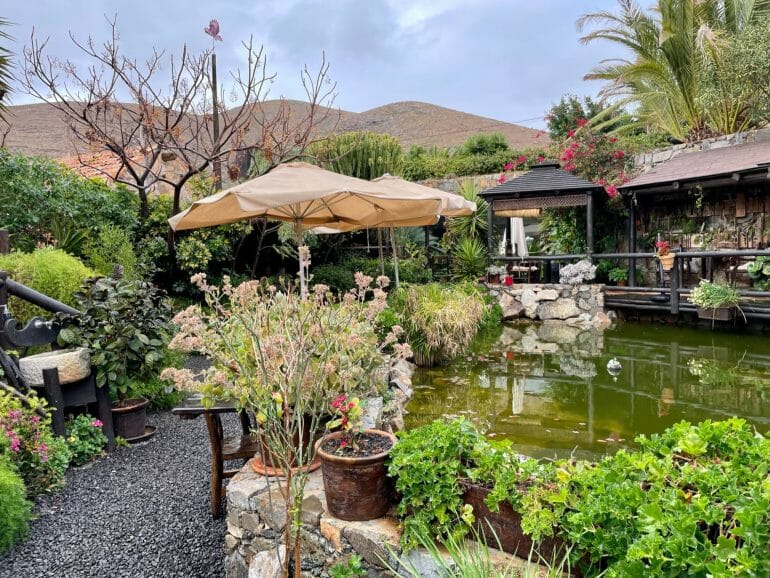 Restaurant Casa de la Naturaleza Fuerteventura