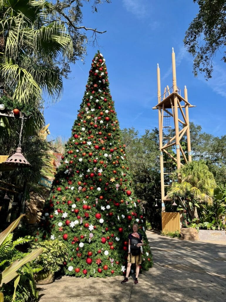 Bush Gardens Florida