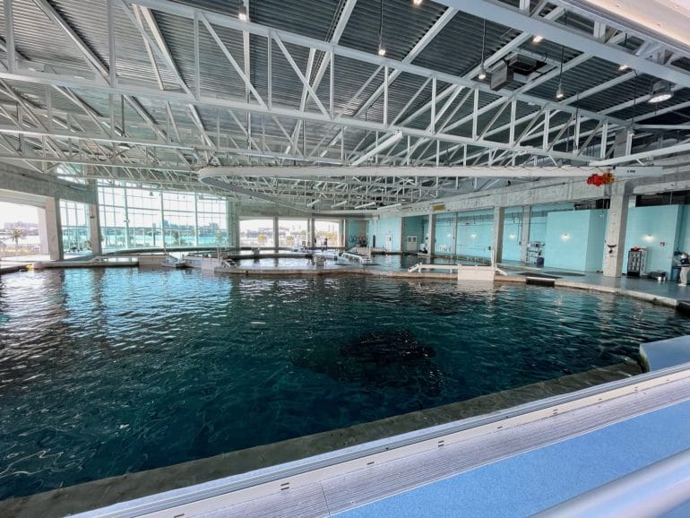 Clearwater Marine Aquarium