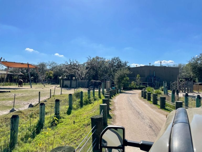 Jeeptour im Tampa Zoo