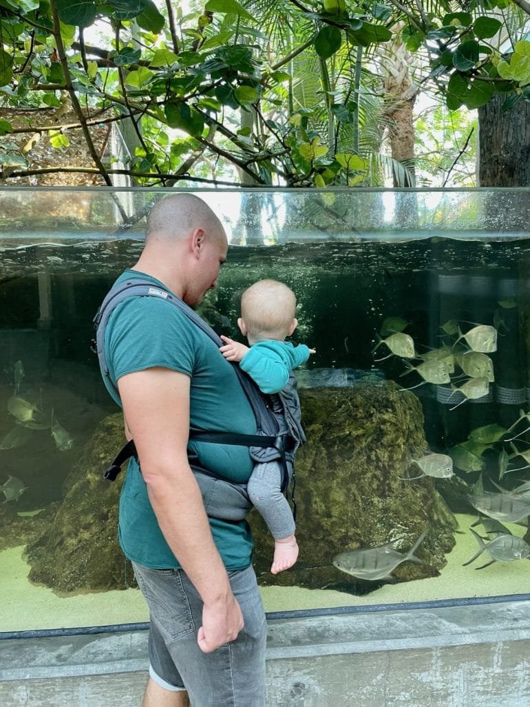 The Florida Aquarium Tampa